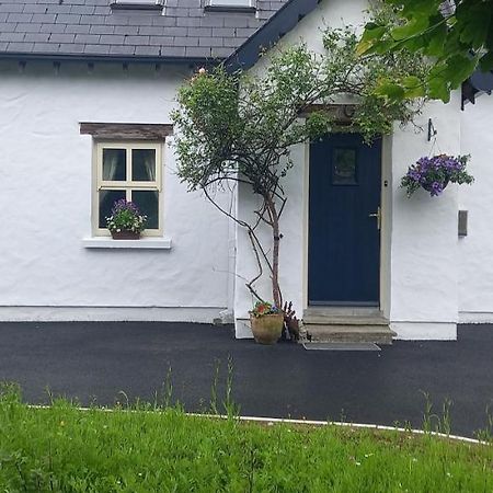 Cheerful Cottage Westport Exterior photo